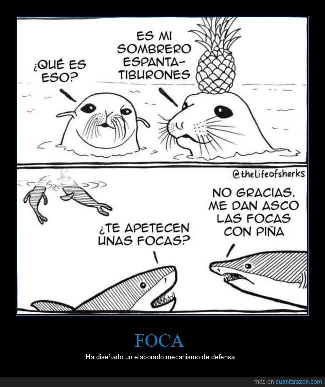 foca,piña,tiburones