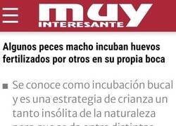 Enlace a Curioso comportamiento