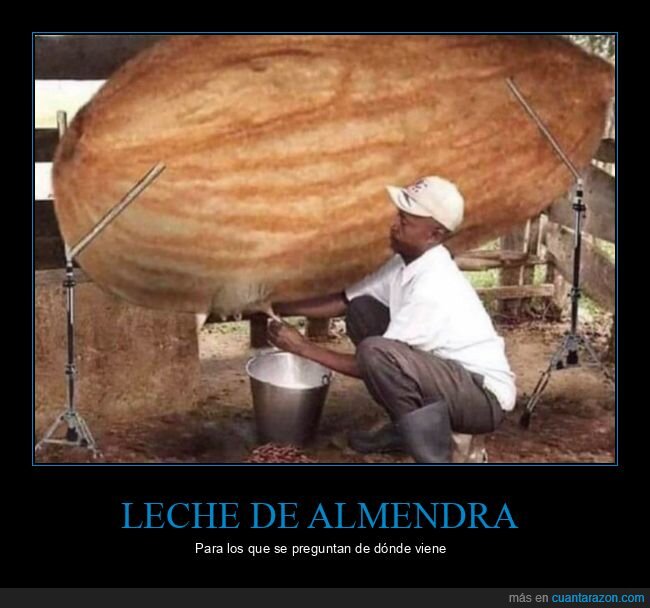 leche,almendra,ordeñando