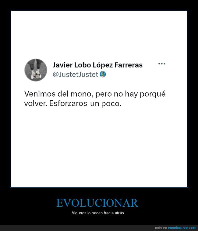 evolución,mono,volver