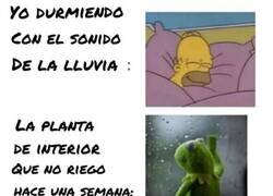 Enlace a Y tú tan a gusto...