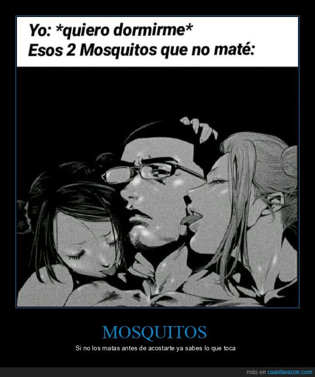 dormir,mosquitos