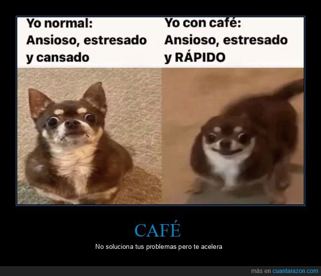 normal,café,cansado,rápido