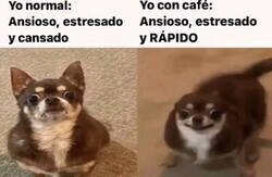 Enlace a Sin café y con café