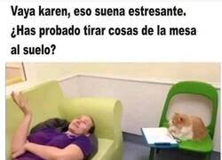 Enlace a Psicología felina