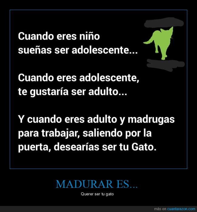 niño,adolescente,adulto,gato