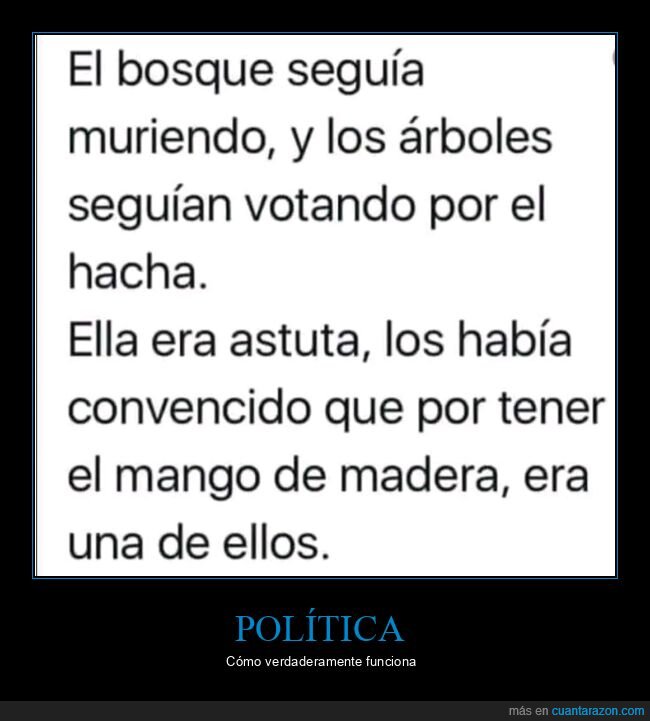 política,bosque,árboles,hacha