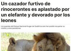 Enlace a Cazador cazado