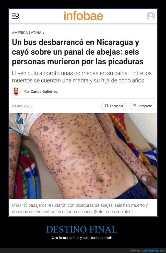 autobús,abejas