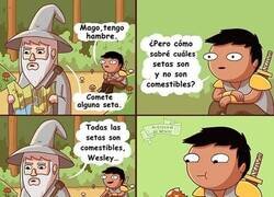 Enlace a Todas las setas son comestibles...