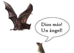 Enlace a Mitología animal