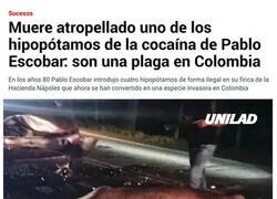 Enlace a Las consecuencias de introducir una especie invasora en otro hábitat