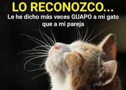 Enlace a El que se lleva todos los halagos