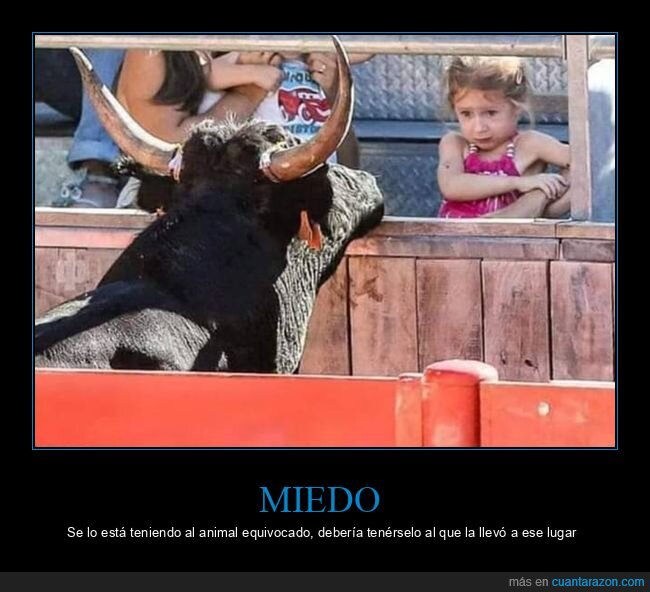 toros,niña,miedo