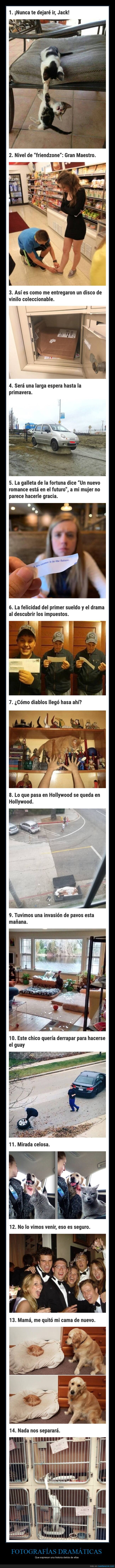 fotos dramáticas