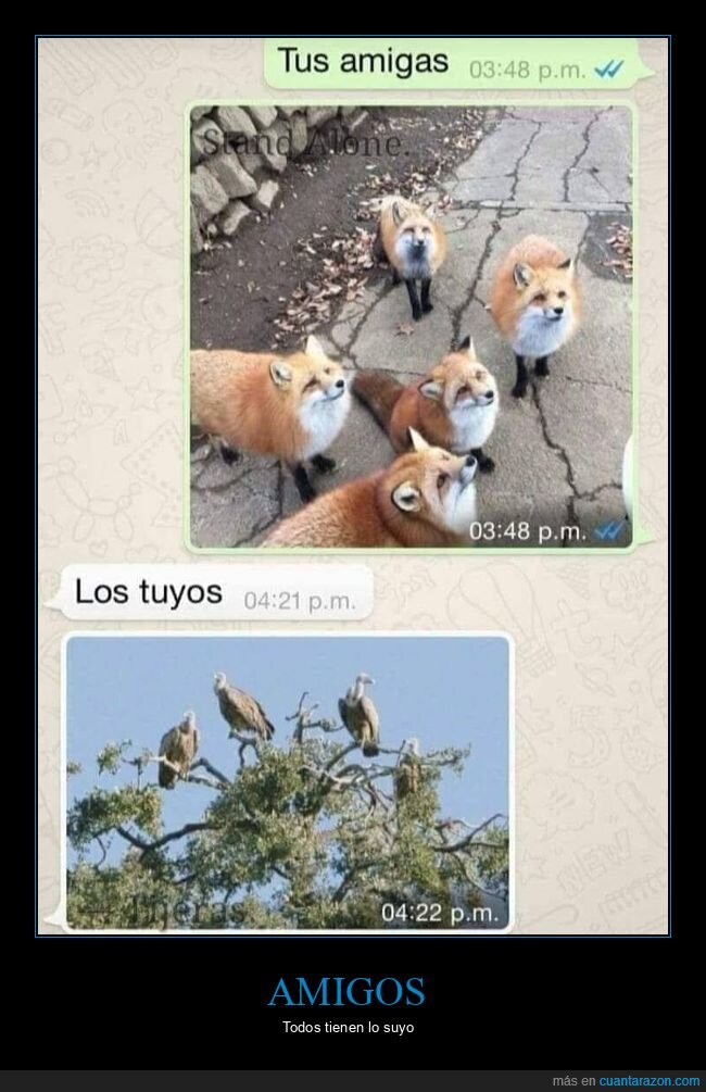 whatsapp,amigas,amigos,zorras,buitres