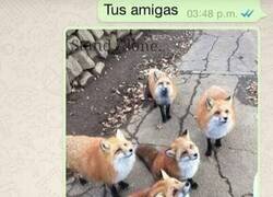 Enlace a Descripciones certeras