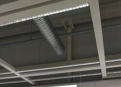 Enlace a Cartel descriptivo