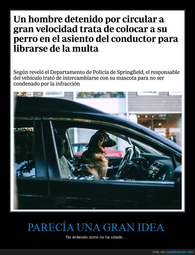 coches,multa,perros,wtf