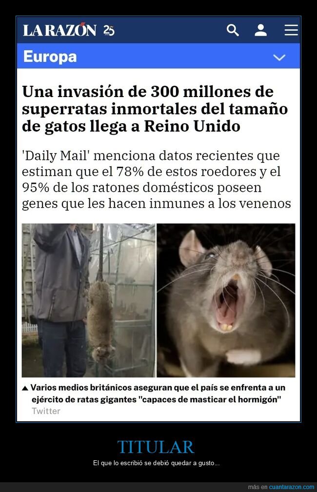 ratas,inmortales,reino unido