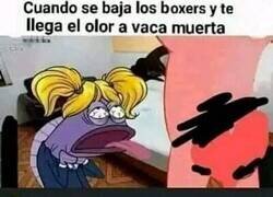 Enlace a Stefany por dios...