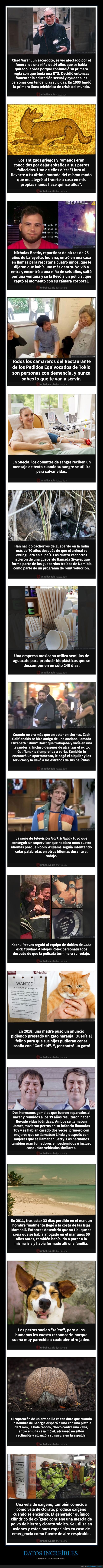 datos increíbles,curiosidades