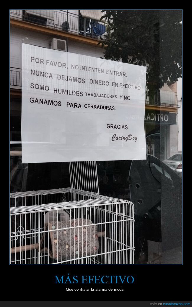 carteles,entrar,dinero,cerraduras