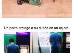 Enlace a Noticias positivas que te harán recobrar la fe en la humanidad