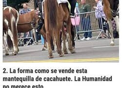 Enlace a Imágenes que muestran el lado estúpido de la humanidad