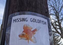 Enlace a Jugosa recompensa