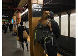 Enlace a Personas originales que siempre se saltan las normas del metro