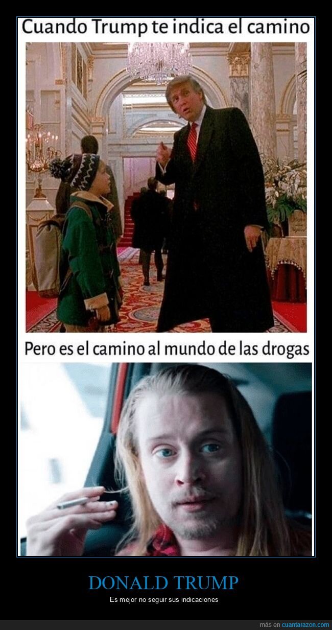 camino,donald trump,drogas,indicar,macaulay culkin,políticos