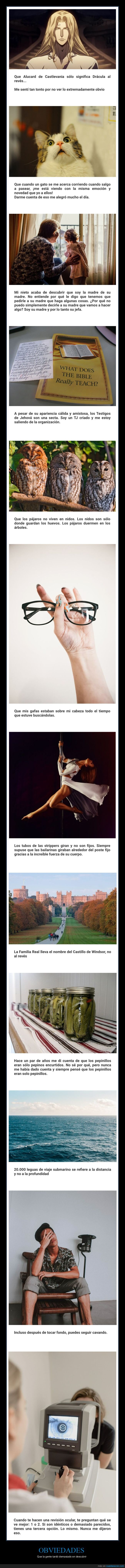 obviedades,descubrir