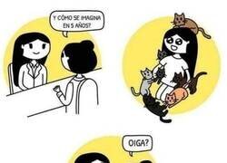 Enlace a Preguntas que distraen