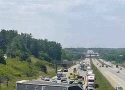 Enlace a Un buen lugar en el que echar raíces