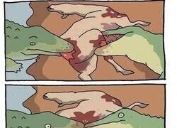 Enlace a Amor inesperado