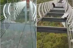 Enlace a Momento terrorífico