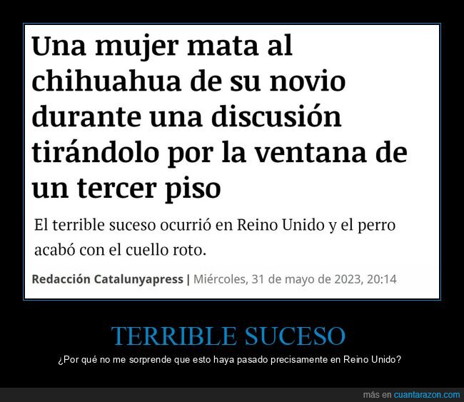 matar,perro,tirar,ventana