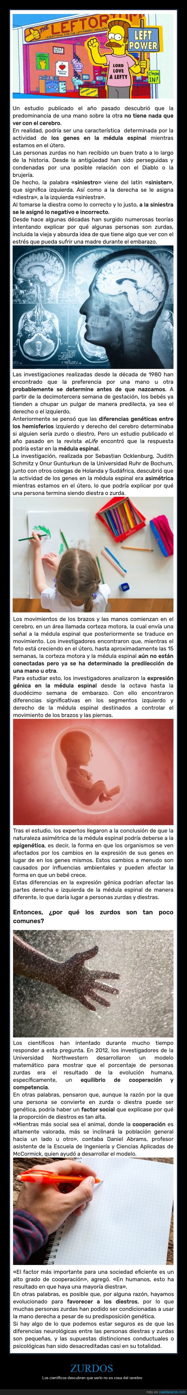 zurdos,curiosidades