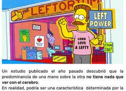 Enlace a Los científicos descubren que el responsable de ser zurdos no es del cerebro