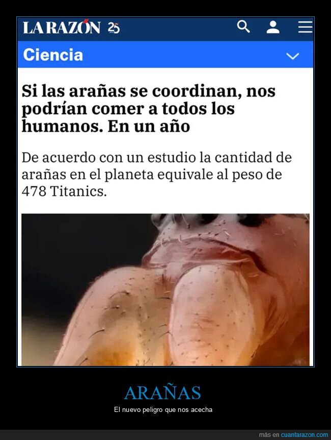 arañas,coodinarse,humanos