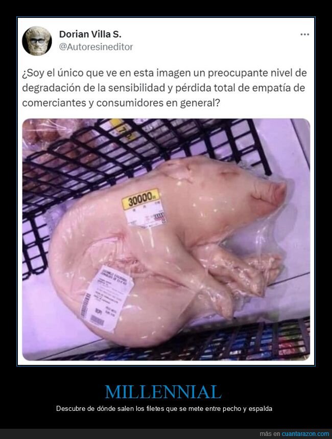 cerdo,supermercado