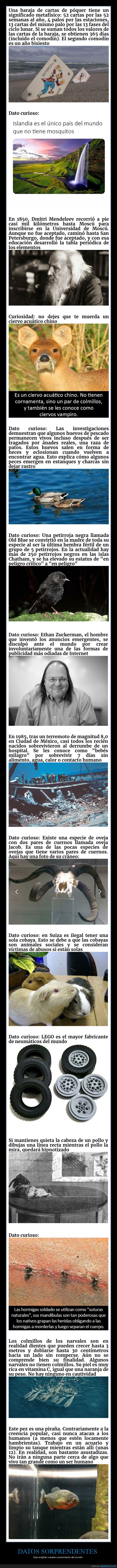 datos interesantes,curiosidades