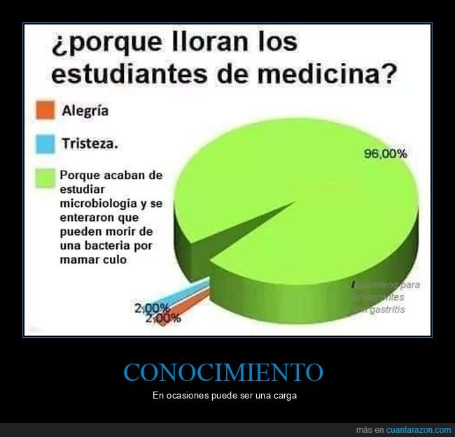 bacteria,culo,estudiantes,medicina,microbiología,morir