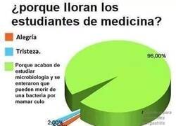 Enlace a La ignorancia es la felicidad