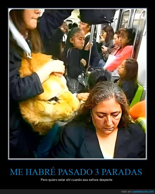 autobús,despertar,señora