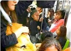 Enlace a El despertar va a ser épico