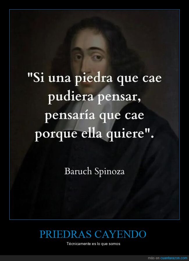 piedra,caer,pensar,querer,baruch spinoza