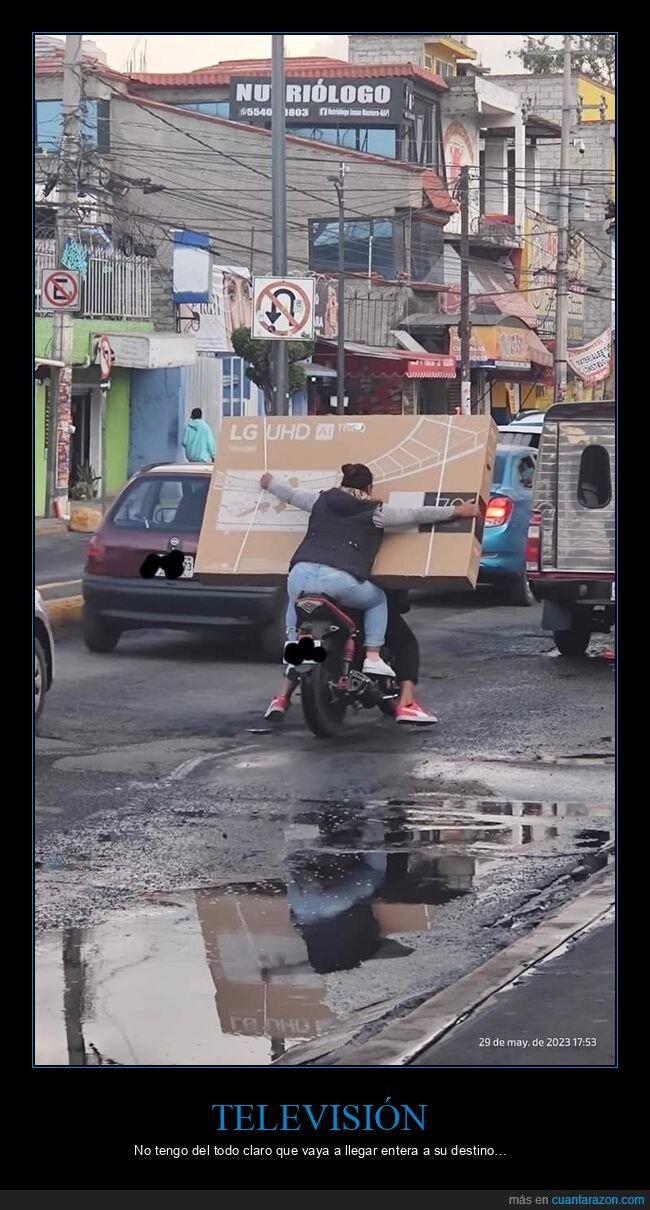 motos,televisión,transportando,wtf