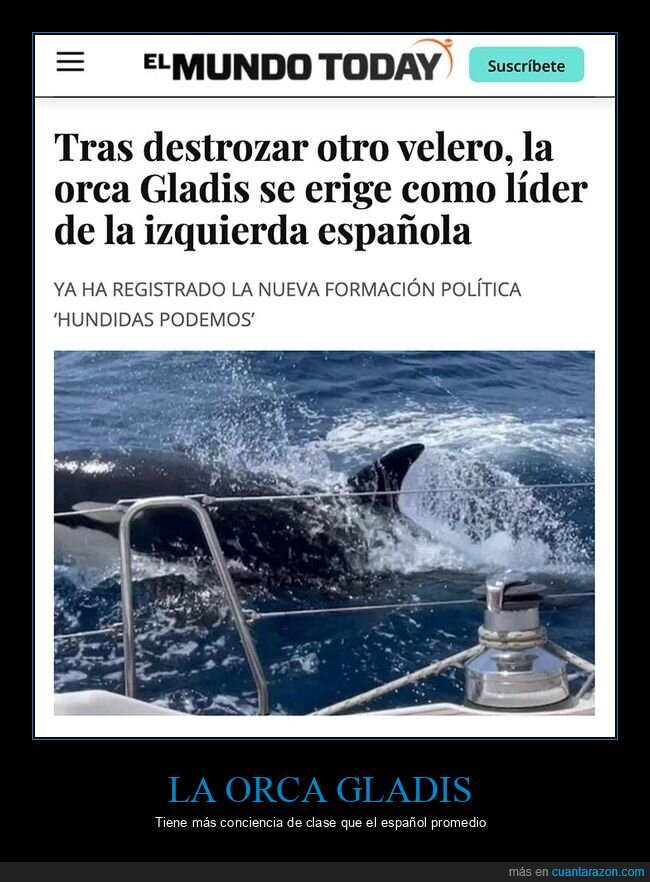 el mundo today,gladis,izquierda,orca